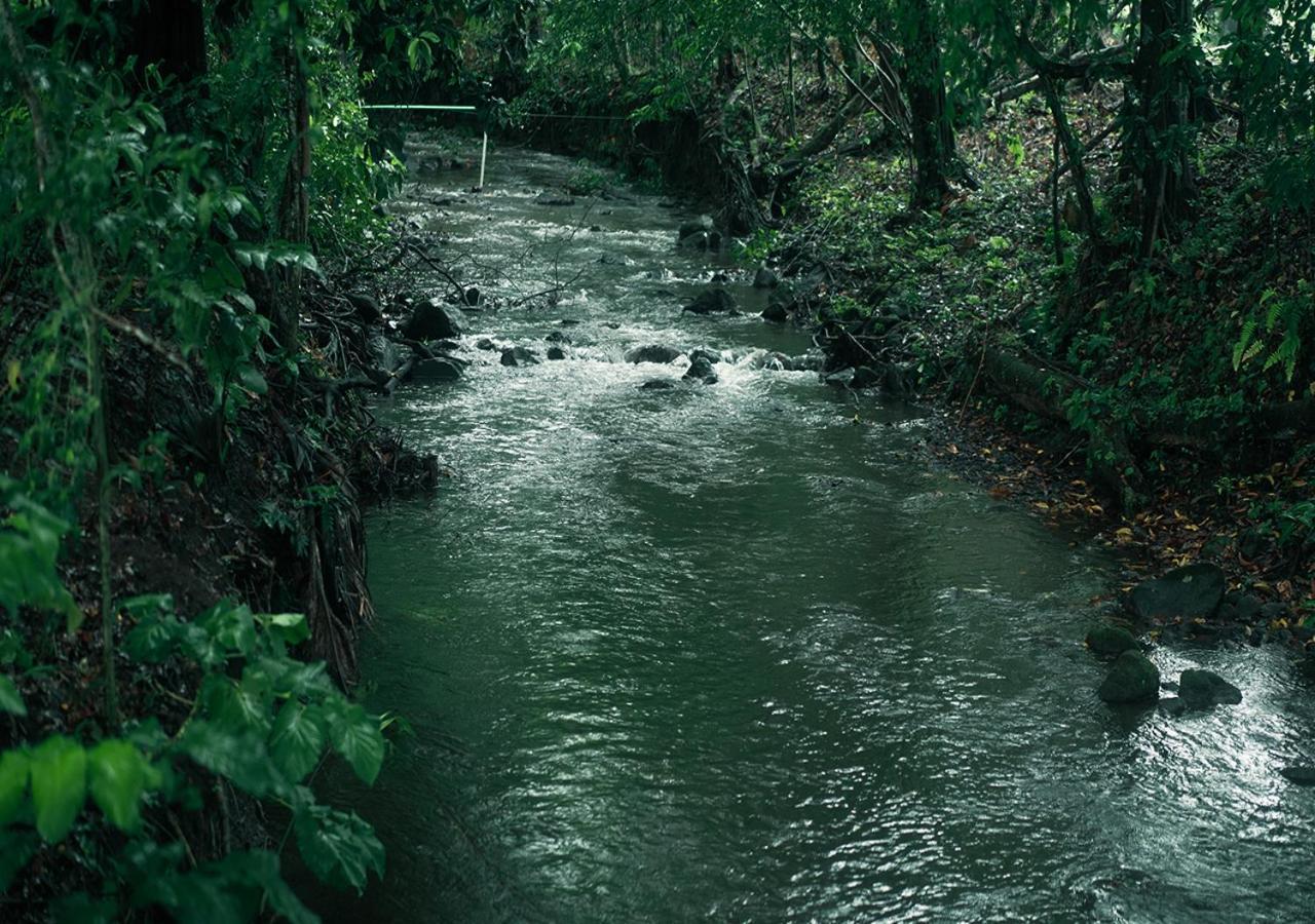 Hotel Eco Arenal La Fortuna Dış mekan fotoğraf
