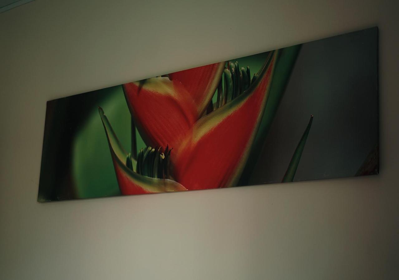Hotel Eco Arenal La Fortuna Dış mekan fotoğraf