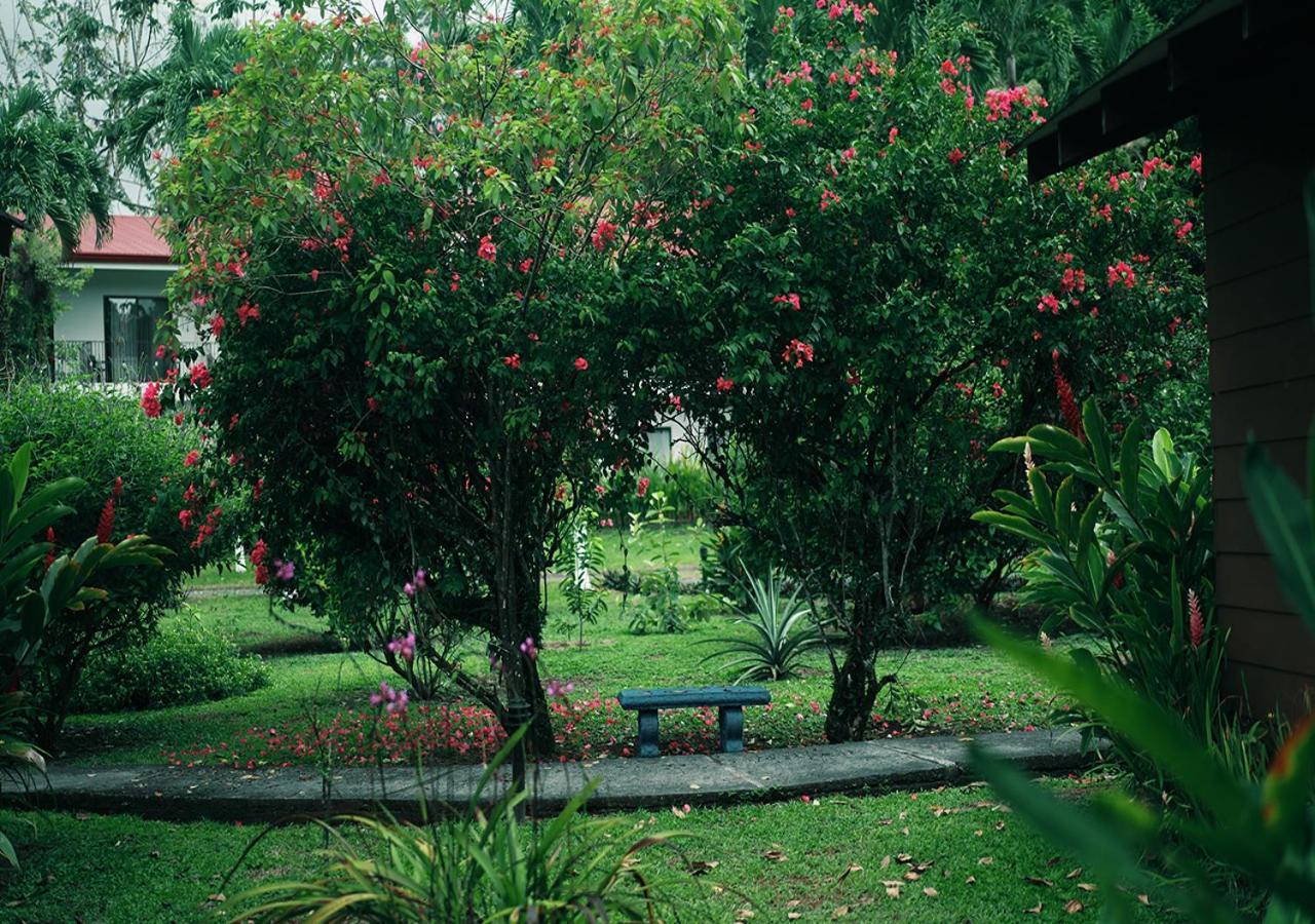 Hotel Eco Arenal La Fortuna Dış mekan fotoğraf