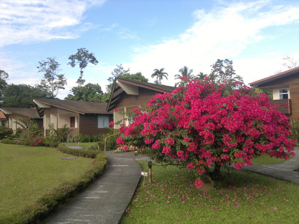 Hotel Eco Arenal La Fortuna Dış mekan fotoğraf