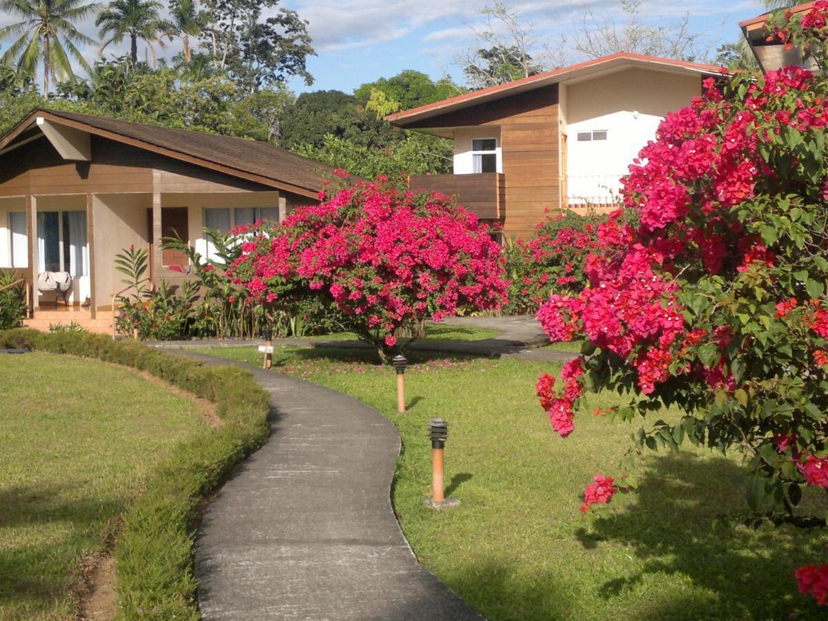 Hotel Eco Arenal La Fortuna Oda fotoğraf